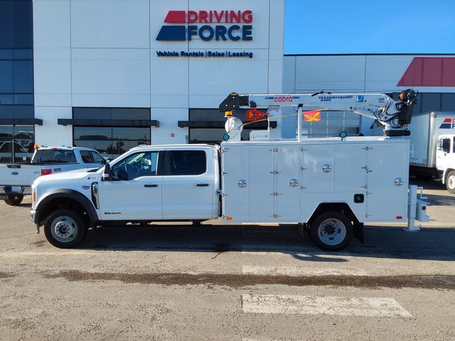 2023 Ford Super Duty F-550 DRW XL in Cars & Trucks in Calgary - Image 2