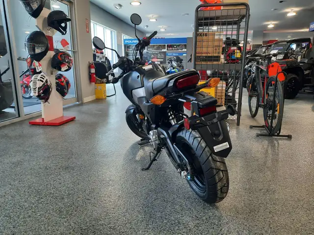 2025 HONDA M/C GROM 2025 GROM THE MINI MOTO'S ARE HERE in Other in Bridgewater - Image 6