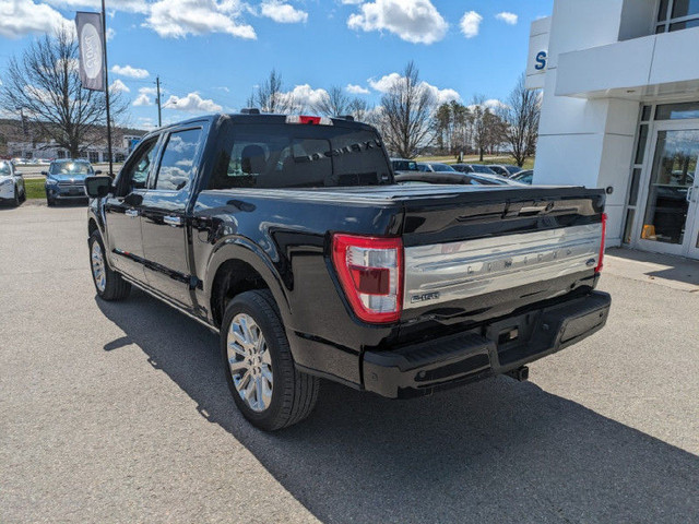 2021 Ford F-150 Limited - Leather Seats - Cooled Seats in Cars & Trucks in Kawartha Lakes - Image 3