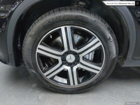 XPEL Protection Film | Premium Pkg | AMG Night Pkg | Intelligent Drive Pkg | Black Designo Nappa Lea... (image 5)