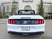 Get ready to soak up the sun and feel the wind in your hair, because the 2023 Ford Mustang EcoBoost... (image 4)