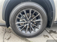 See Dealer Website for Details. AMIVC Licensed Business Engine: 4 Cylinder Engine L/100Km City: 5.7... (image 5)