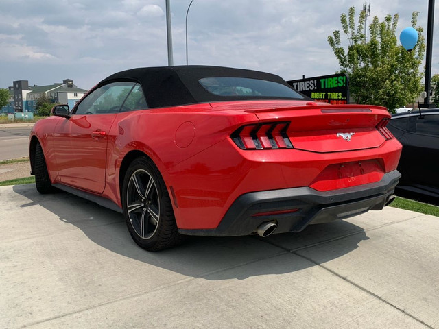 2024 Ford Mustang EcoBoost Premium in Cars & Trucks in Medicine Hat - Image 3