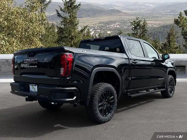 2025 GMC Sierra 1500 Pro in Cars & Trucks in Cowichan Valley / Duncan - Image 7