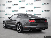 Brake Assist, Cruise Control, Keyless Entry, Smart Device Integration! This 2016 Ford Mustang Base c... (image 4)