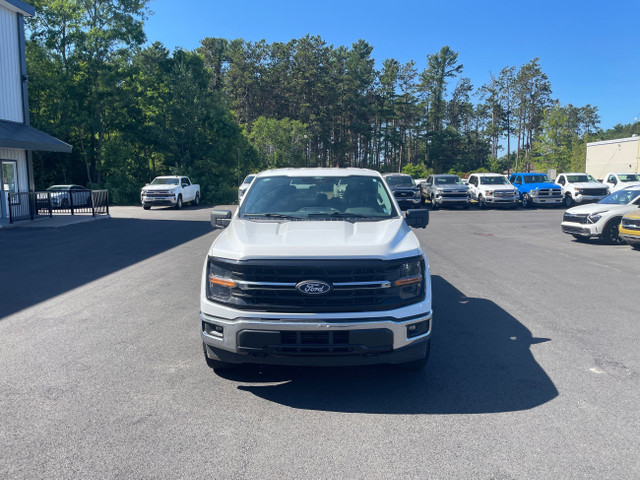2024 Ford F-150 XLT -Navigation-Clean Carfax- in Cars & Trucks in Annapolis Valley - Image 3