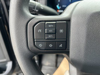 Recent Arrival! 4WD, 6 Speakers, 6 Black Running Boards, AM/FM radio: SiriusXM with 360L, Black Fron... (image 7)