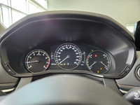 Heated Steering Wheel | Remote Start | Dual-Zone Climate Control | Sunroof / Moonroof | Panoramic Su... (image 9)