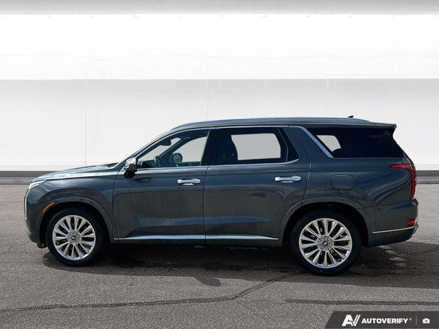 2020 Hyundai Palisade Ultimate in Cars & Trucks in Winnipeg - Image 2