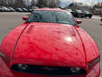 Engine: 5.0L V8 DOHC 32V L/100Km City: 13.8 L/100Km Hwy: 7.9 Safety Equipment ABS And Driveline Trac... (image 8)
