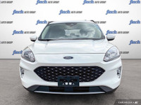 WAS: $29879 NOW: $23998 plus taxes and licensing feesDiscover the 2020 Ford Escape SEL: A Stylish an... (image 1)