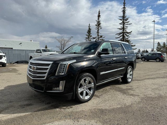 2019 Cadillac Escalade PLAT in Cars & Trucks in Calgary