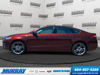 Local Car, Locally driven (barely!!!), All-Wheel Drive, Sunroof, 2L Ecoboost! One Owner | Remote veh... (image 3)