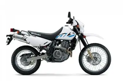Engine Type: 4-stroke, air-cooled, single cylinder, OHC Displacement: 644 cc Bore and Stroke: 3.93 i...