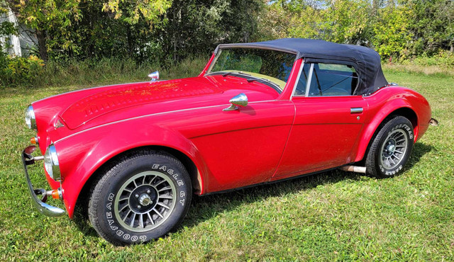 Austin Healey 1965 REPLICA 3000 Sebring 3000 MK III in Cars & Trucks in Thunder Bay