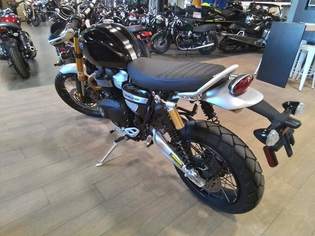 2024 Triumph SCRAMBLER 1200 XE in Street, Cruisers & Choppers in Moncton - Image 3