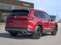 *Low Mileage! Heated Seats, Sunroof, Heated Steering Wheel, Lane Assist, Wireless Charging, Apple Ca... (image 5)