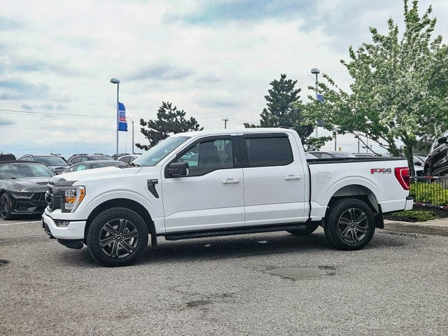 2021 Ford F-150 XLT Perfect Pickup! 302A in Cars & Trucks in Kawartha Lakes - Image 3
