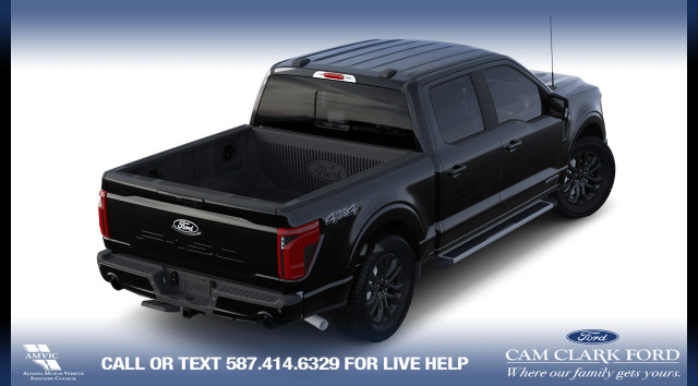 2024 Ford F-150 XLT in Cars & Trucks in Calgary - Image 4