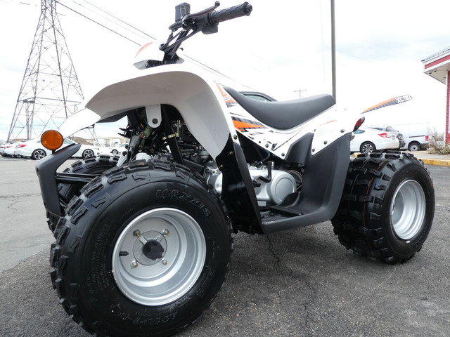  2022 Argo Other 90cc , Electric Start , Forward & Reverse in ATVs in Moncton - Image 3
