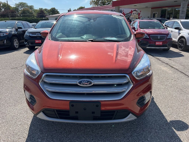  2019 Ford Escape SE, AUTOMATIC, CLEAN CARFAX! in Cars & Trucks in London - Image 3