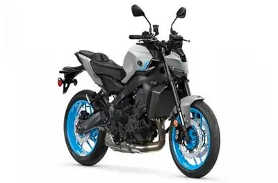 Engine Type: Horizontal In-line Displacement: 54.3 cu. in. (890 cc) Bore and Stroke: Bore: 3.07 in....