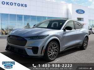2022 Ford Mustang Mach-E GT Performance Edition