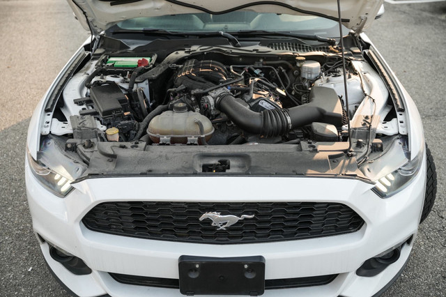 2017 Ford Mustang FastBack | V6 | Manual in Cars & Trucks in Mississauga / Peel Region - Image 4