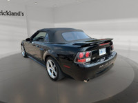 **Strickland's is home of the Hassle-Free car shopping experience. We make car buying fun, find your... (image 4)