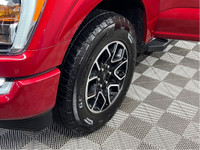 CONSECUTIVE COMSUMER CHOICE AWARD WINNERS FOR OUTSTANDING BUSINESS! LOW DEALER FINANCING RATES*, NO... (image 5)