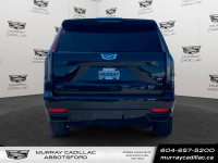 No Accidents | Trailer Package | Driver Assist Tech Package | Suspension Package | Adaptive remote v... (image 5)