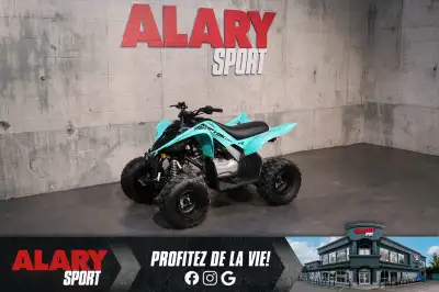 Ce VTT YAMAHA RAPTOR 110 2025 est disponible DÈS MAINTENANT! Contactez-nous au 450-420-2707. PDSF: 4...