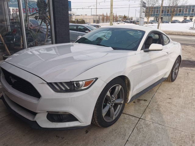 2017 Ford Mustang Fastback in Cars & Trucks in Kitchener / Waterloo