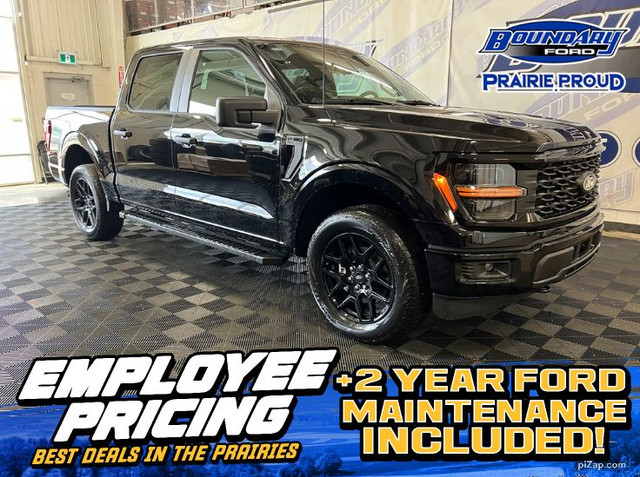 2025 Ford F-150 STX | STX BLACK APPEARNCE PKG | MOBILE OFFICE PK in Cars & Trucks in Lloydminster - Image 2