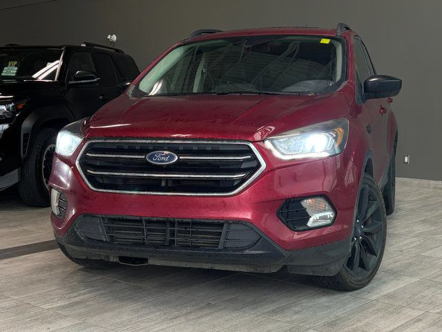 2017 Ford Escape SE | AWD | Ecoboost | Heated Seats in Cars & Trucks in Edmonton - Image 4