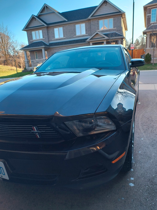 2012 Ford Mustang V6 in Cars & Trucks in Kitchener / Waterloo - Image 2