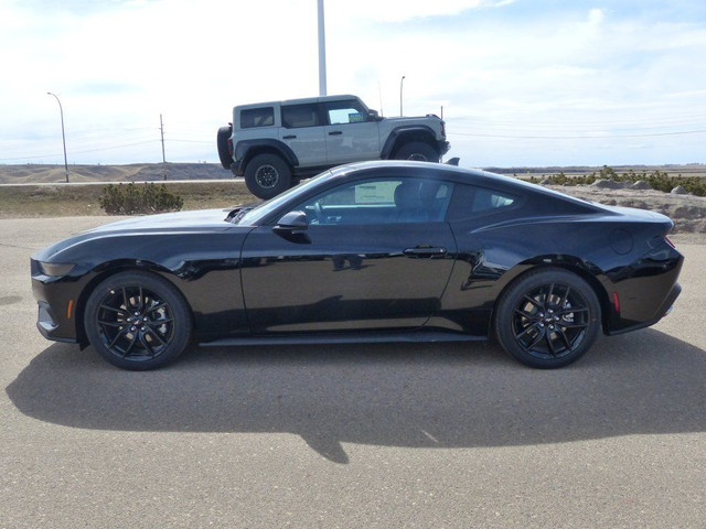 2025 Ford Mustang EcoBoost Coupe 101A in Cars & Trucks in Medicine Hat - Image 2