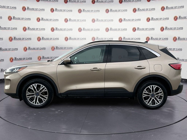 2020 Ford Escape SEL / Heated Leather Seats / Back Up Cam in Cars & Trucks in Calgary - Image 2