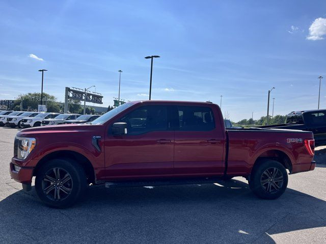 2021 Ford F-150 XLT in Cars & Trucks in Kitchener / Waterloo - Image 3