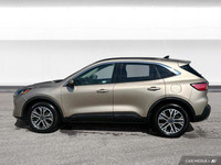Enjoy the versatility of this 2020 Ford Escape SEL, boasting all-wheel drive for confident handling... (image 1)