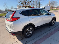 2019 Honda Crv LX AWD,excellent conditions,gas saver,2 previous owners,clean carfax,safety certifica... (image 7)