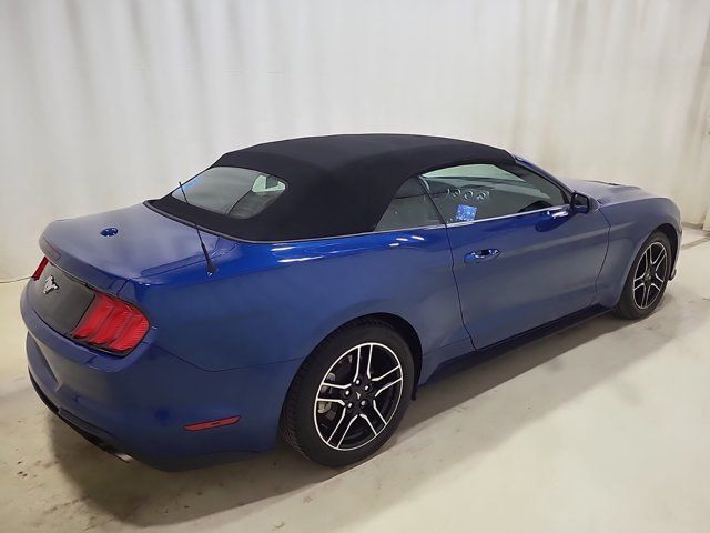 2022 Ford Mustang EcoBoost Premium Convertible | Manual | 101A in Cars & Trucks in Guelph - Image 4