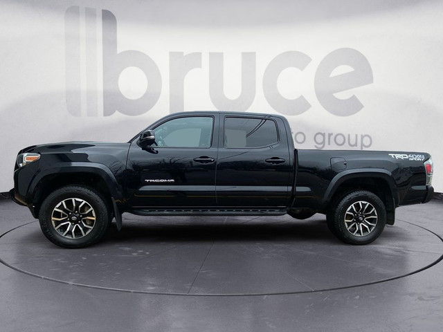  2020 Toyota Tacoma BASE in Cars & Trucks in Annapolis Valley - Image 3