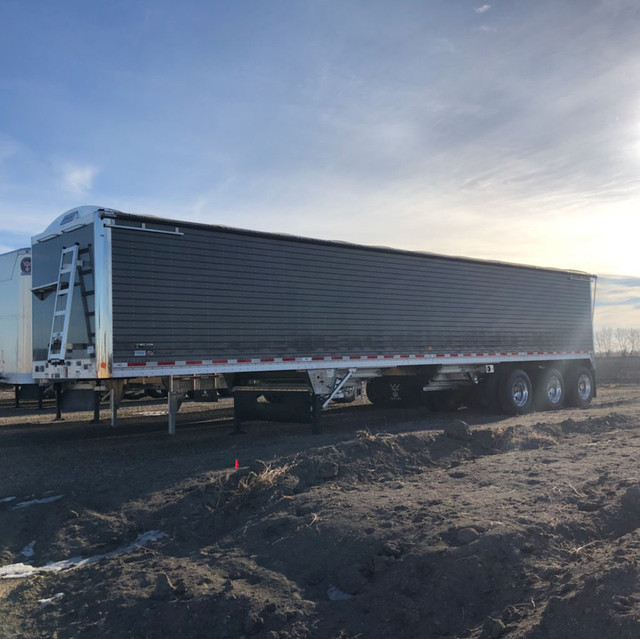 2025 -Wilson grain -grain Wilson tri drive grain trailer in Farming Equipment in Saskatoon - Image 3
