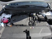 Come visit our Kia of Hamilton team, you can find us at 1885 Upper James St. Hamilton, ON L9B 1K8, o... (image 5)