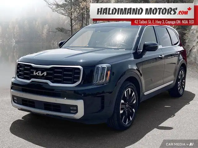 2023 Kia Telluride SX Limited in Cars & Trucks in Hamilton - Image 2