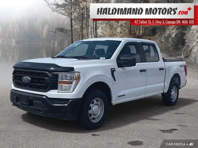 2022 Ford F-150 XL in Cars & Trucks in Hamilton - Image 2