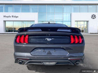 We're excited to offer this versatile 2023 Ford Mustang I4CP. ENGINE: 2.3L ECOBOOST (STD), Trunk Rea... (image 3)