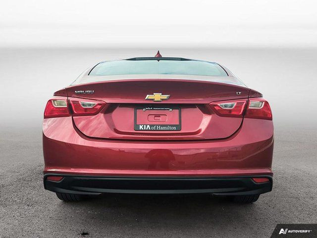  2018 Chevrolet Malibu LT No Accidents in Cars & Trucks in Hamilton - Image 4