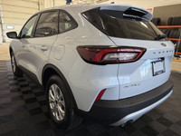 Employee Pricing on now! You pay what we pay on every New and Used Vehicle at Boundary Ford - Best D... (image 7)